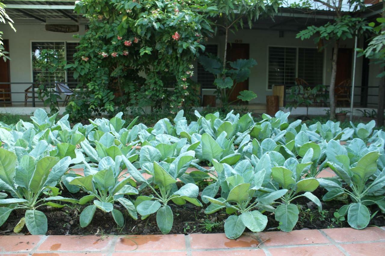 My Parents Guesthouse Kampot Εξωτερικό φωτογραφία
