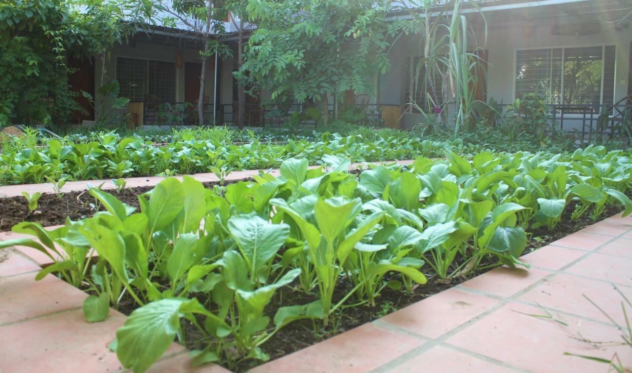 My Parents Guesthouse Kampot Εξωτερικό φωτογραφία