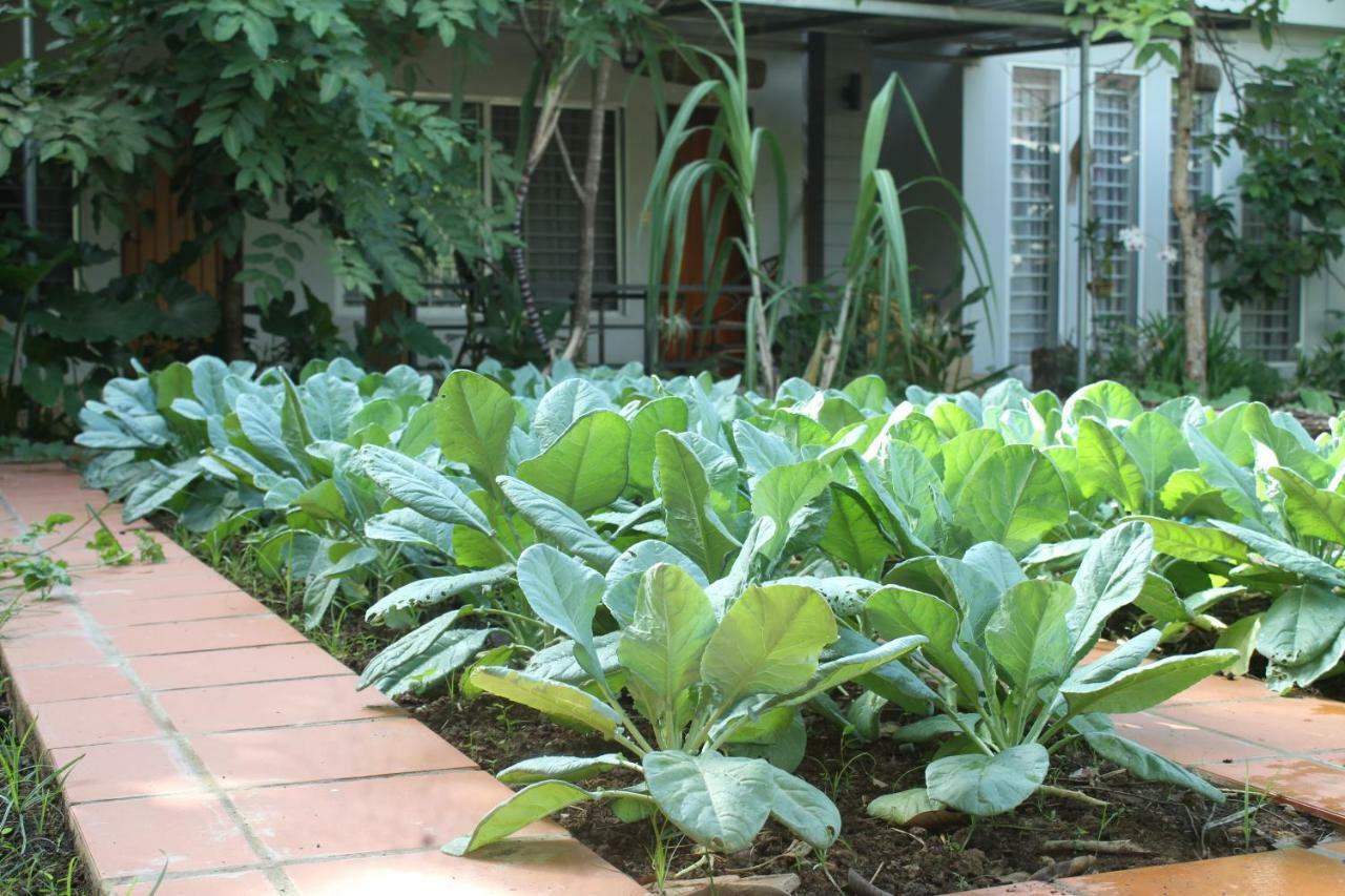 My Parents Guesthouse Kampot Εξωτερικό φωτογραφία