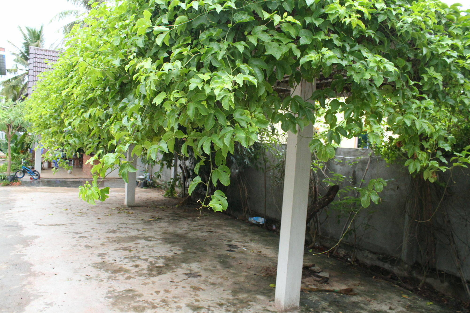 My Parents Guesthouse Kampot Εξωτερικό φωτογραφία